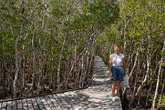 1010 Jack Barnes Bicentennial Mangrove Boardwalk 